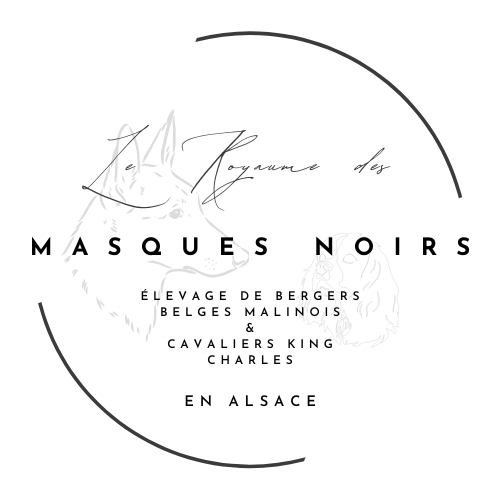 Royaume Des Masques Noirs
